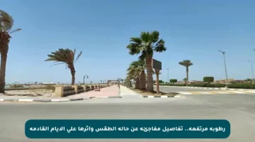 رطوبة مرتفعة.. تفاصيل مفاجئة عن حالة الطقس وأثرها على الأيام القادمة